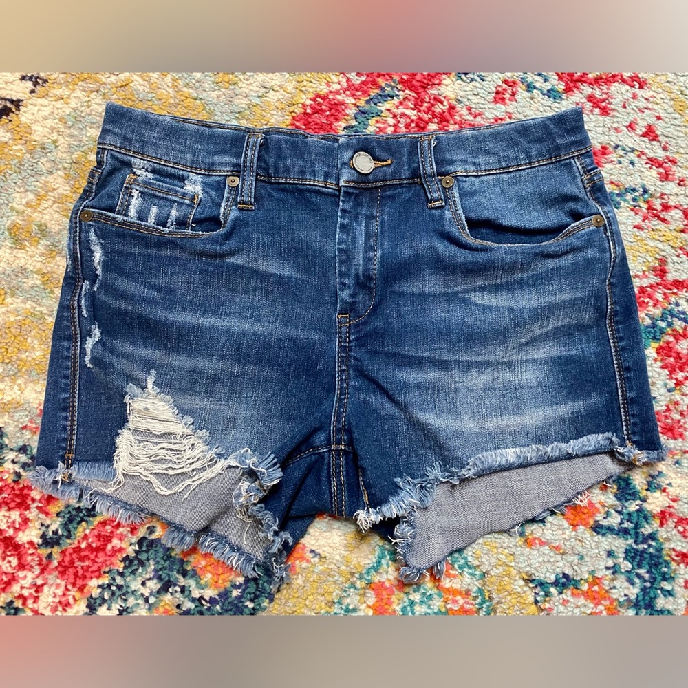 Blank NYC The Essex Denim Shorts Sz 28
